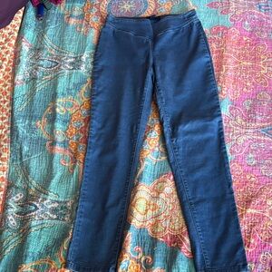 Classic Blue Women's Jeggings